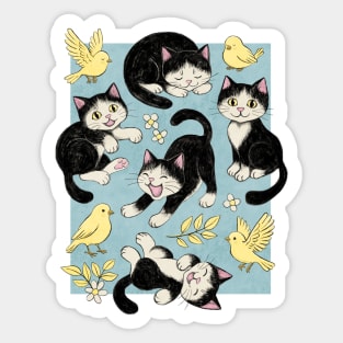Cats and Canaries in Chalk Pastel on Soft Baby Blue Sticker